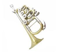 Trombette Tromba Rotativa In Sib Tubo Principale In Cupronichel Finitura Laccata Ottone Giallo Tromba Standard Professionale Acciaio Inossidabile(Gold)