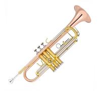 Trombette Tromba Si Bemolle Strumento A Fiato Ingresso Professionale Laccato Corpo Oro Bronzo Fosforoso Portatile