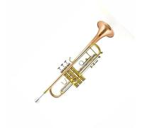 Trombette Tromba Si Bemolle Tromba Strumento Musicale Professionale Ottone Durevole Tono Pieno Tromba Portatile