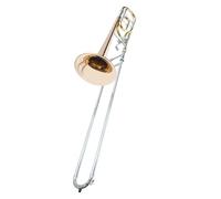 Trombone Basso Trasposizione Del Sassofono Tenore Dalla Chiave Di Si Bemolle Alla Fa Per Principianti Nella Performance Sul Palco