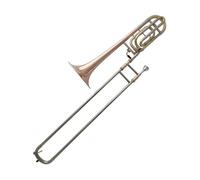 Trombone Contralto Trombone Tenore Si Bemolle Fa Chiave Principiante Esame Performance Bronzo Fosforoso
