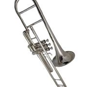 Trombone In Ottone Giallo Per Strumenti Musicali, Pistoni, Trombone, Chiave F, Con Custodia E Bocchino Trombone per Principianti (Color : Nickel)