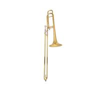 Trombone In Ottone Il Trombone Tenore È Adatto Ai Principianti Che Vogliono Suonare Gli Ottoni