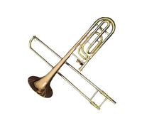 Trombone Per Principianti Strumento Si Bemolle Tenore Esecuzione Professionale O Pratica Strumento Trombone Professionale(2)