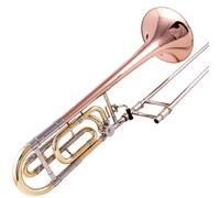 Trombone Professionale In Ottone Da Si Bemolle A Fa Tenore Con Custodia E Bocchino Trombone per Principianti (Color : B)