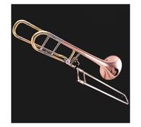 Trombone Professionale Strumento Musicale Trombone Professionale Da Si Bemolle A Fa Tenore Cambia Intonazione Con Custodia (Color : B)