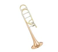 trombone professionale Trombone B/F Avanzato Materiale In Rame Fosforoso Voce Strumento Professionale In Ottone Con Custodia Laccata Dorata