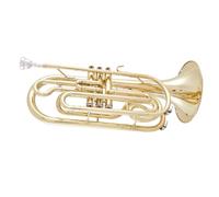 Trombone Professionale Trombone Da Marcia In Si Bemolle Dorato In Ottone Laccato Oro, Trombone A Tre Supporti Con Custodia E Bocchino
