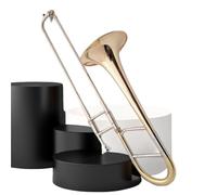 Trombone Strumento Giovani Musicisti Trombone Mi Bemolle Maggiore Banda Professionale Di Ottoni Orchestrale Uso Generale
