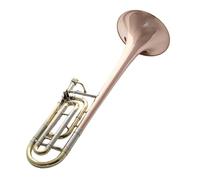 Trombone Strumento Musicale Adulti Principianti Sib Fa Trombone Tenore Fosforo Rame Strumenti Musicali