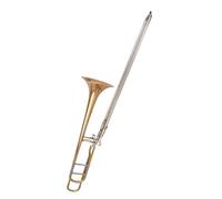 Trombone Strumento Musicale Trombone Tenore Sib FG Db Accordatura Adatta Per Esercitazioni Ed Esibizioni(Type 8)