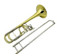 Trombone Strumento Trombone A Doppio Pistone In Sib Fa Strumento Musicale Professionale Placcato In Ottone Con Custodia E Bocchino