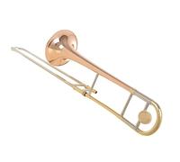 Trombone Tenore In Si Bemolle Con Corno In Bronzo Fosforoso, Trombone Professionale Con Accessori Trombone per Principianti