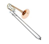 Trombone tenore in Si bemolle strumento professionale