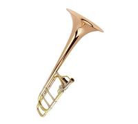 Trombone Tenore Per Principianti B/F Strumento Per Esercitarsi A Suonare Gli Ottoni