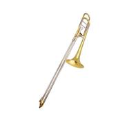 Trombone Tenore Professionale Sib/Fa Adatto Ai Principianti Che Suonano Strumenti Musicali Trombone