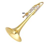 Trombone Trombone Professionale A Due Toni In Ottone Con Custodia Per Strumento