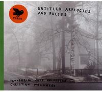 Trondheim Jazz Orchestra Untitled Arpeggios and Pulses (CD) Album