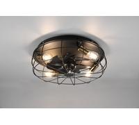 TRIO Leuchten Trodheim lampada a soffitto E27 4 x 10 W Ø48 A: 17 cm, R61095032, Trodheim [Lampade per Interni > Lampade a Soffitto]