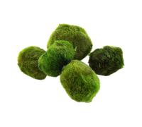 Tropica Aegagropila linnaei - 1 pz.