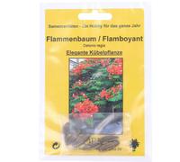 TROPICA Albero di Fuoco - 1 conf.