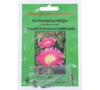 TROPICA Fico di Mare - 1 conf.