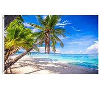 Tropical Beach Ocean Sea Palm Tree Blue Landscape Bandiera Da Cortile 90X150Cm Doppia Faccia Bandiere Da Giardino Con Occhielli Bandiera Dei Pirati Per Giardino Camera Da Letto Dormitorio