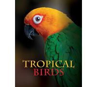 Tropical Birds (Animals)