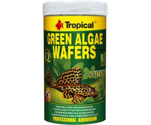 Tropical Cialde di alghe verdi 100ml