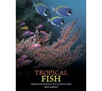 Tropical Fish: From Stingrays to Clown Fish