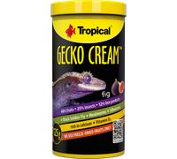Tropical Gecko Cream - Fico