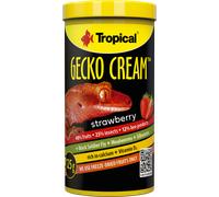 Tropical Gecko Cream - Fragola