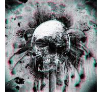 Tropical Gothclub Wheels Within Wheels/Street Level (Vinyl LP) 7" Single