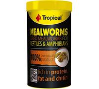 Tropical Meal Worms 250ml