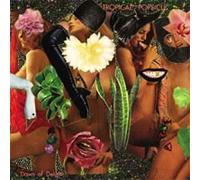 Tropical Popsicle Dawn of Delight (Vinyl LP) 12" Album