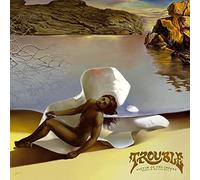 Trouble - Victim Of The Insane Vol.2