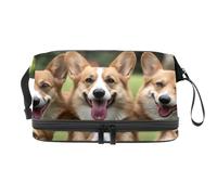 Trousse a doppio strato con tre corgis sul prato per donne e ragazze, borsa da viaggio per trucchi pratica borsa organizer con scomparto per pennelli, Multi, 27x15x14 cm/10.6x5.9x5.5 in, Beauty case