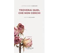 Libri Gargano Antonio Marco - Troverai Quel Che Non Cerchi