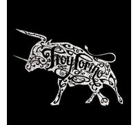 Troy Torino - Order of Magnitude [Import]