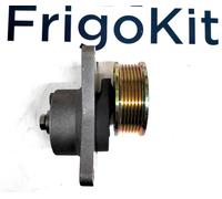 TRP 77-3187 TRP 77-3068 TENDITORE SLX PER Guida Puleggia Thermo King AFTERMARKET