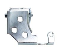 TRQ Cerniera per porta BDA06880