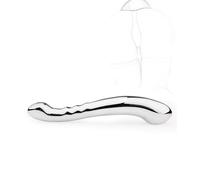 TRQOYTU Dildo Anale A Doppia Testa In Acciaio Inossidabile Plug Masturbazione Doppio Vaginale Orgasmo In Metallo Fetish P-Spot Stimolatori Della Prostata Giocattolo