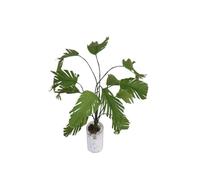 Trrymbbe Casa delle Bambole vivide Piante Verdi Banana Albero Bambola stabilimento in Miniatura Artificiale 1/12 Scala Banana Albero in bottigliatore Bianco