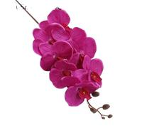 TRRYUIP Orchidea Finta Realistica 8 teste di fiori artificiali farfalla nera orchidea seta bianca phalaenopsis decorazioni for la casa nozze piante finte(Red)