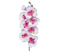 TRRYUIP Orchidea Finta Realistica 8 teste di fiori artificiali farfalla nera orchidea seta bianca phalaenopsis decorazioni for la casa nozze piante finte(Clear)