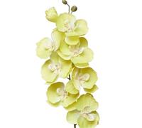 TRRYUIP Orchidea Finta Realistica 8 teste di fiori artificiali farfalla nera orchidea seta bianca phalaenopsis decorazioni for la casa nozze piante finte(Burgundy)