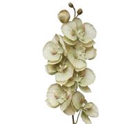 TRRYUIP Orchidea Finta Realistica 8 teste di fiori artificiali farfalla nera orchidea seta bianca phalaenopsis decorazioni for la casa nozze piante finte(Light Yellow)