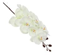 TRRYUIP Orchidea Finta Realistica 8 teste di fiori artificiali farfalla nera orchidea seta bianca phalaenopsis decorazioni for la casa nozze piante finte(Orange)