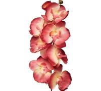 TRRYUIP Orchidea Finta Realistica 8 teste di fiori artificiali farfalla nera orchidea seta bianca phalaenopsis decorazioni for la casa nozze piante finte(Dark Khaki)