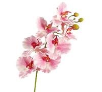 TRRYUIP Orchidea Finta Realistica Farfalla Orchidea Fiore artificiale Real Touch Fatto a mano Finto Phalaenopsis Simulazione di lusso realistica Grande falena(Pink)